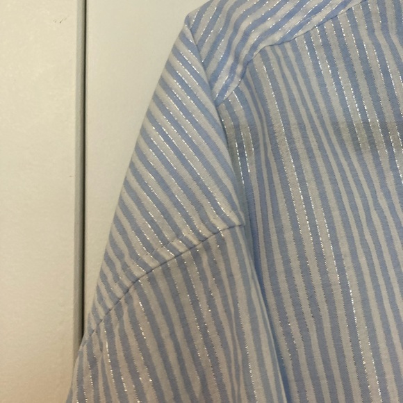 Shiny Striped Oxford Oversized Button Down Shirt - Picture 4 of 4